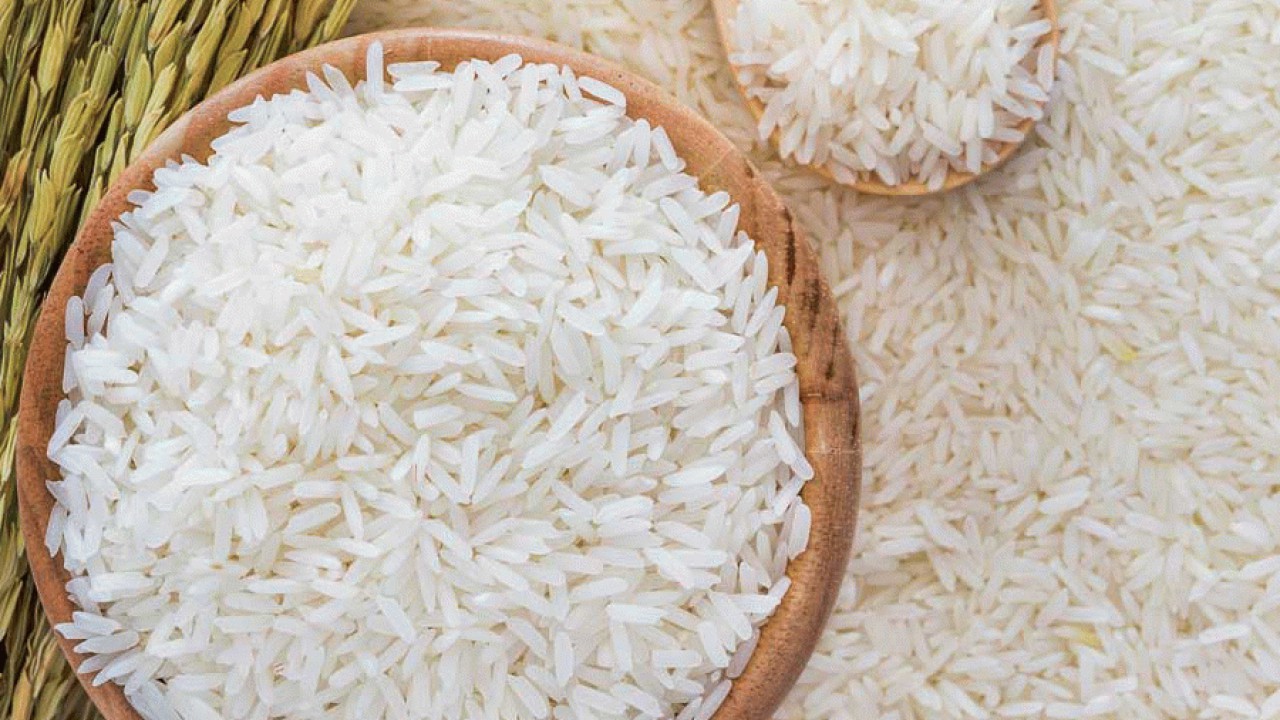 خرید و قیمت برنج شیرودی