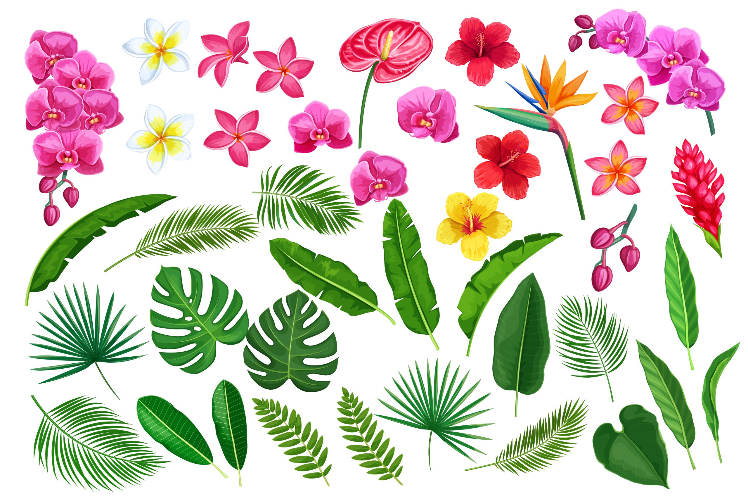 مجموعه 40 عددی براش فوتوشاپ طرح گل